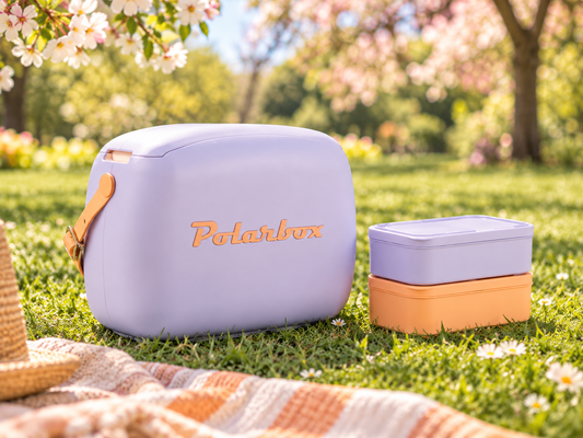 Lila Pop 6L