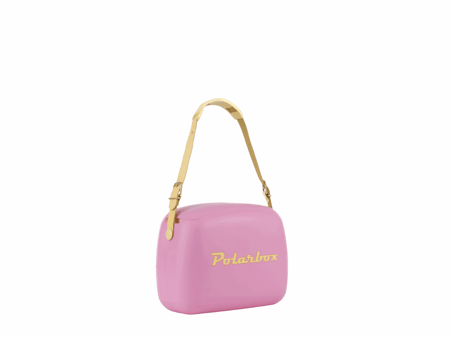 Fucsia Pop 6L