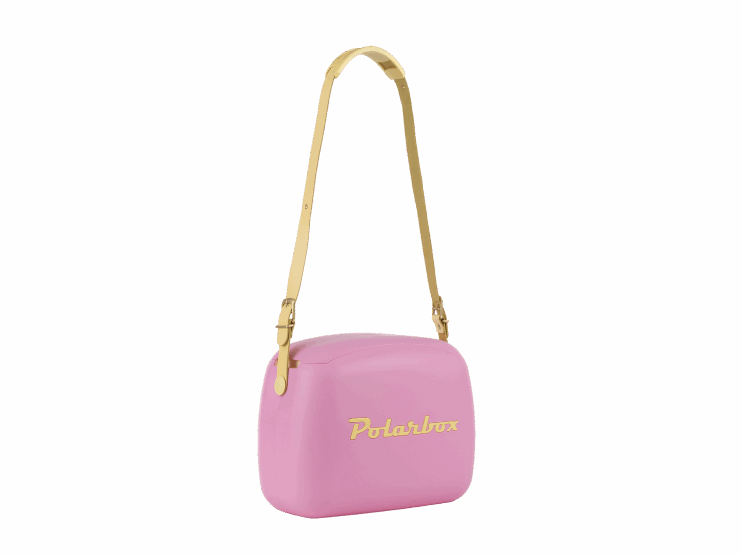 Fucsia Pop 6L