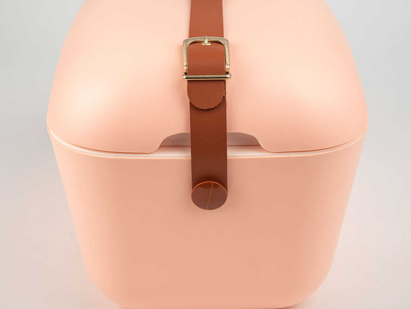 Coral Gold 20L