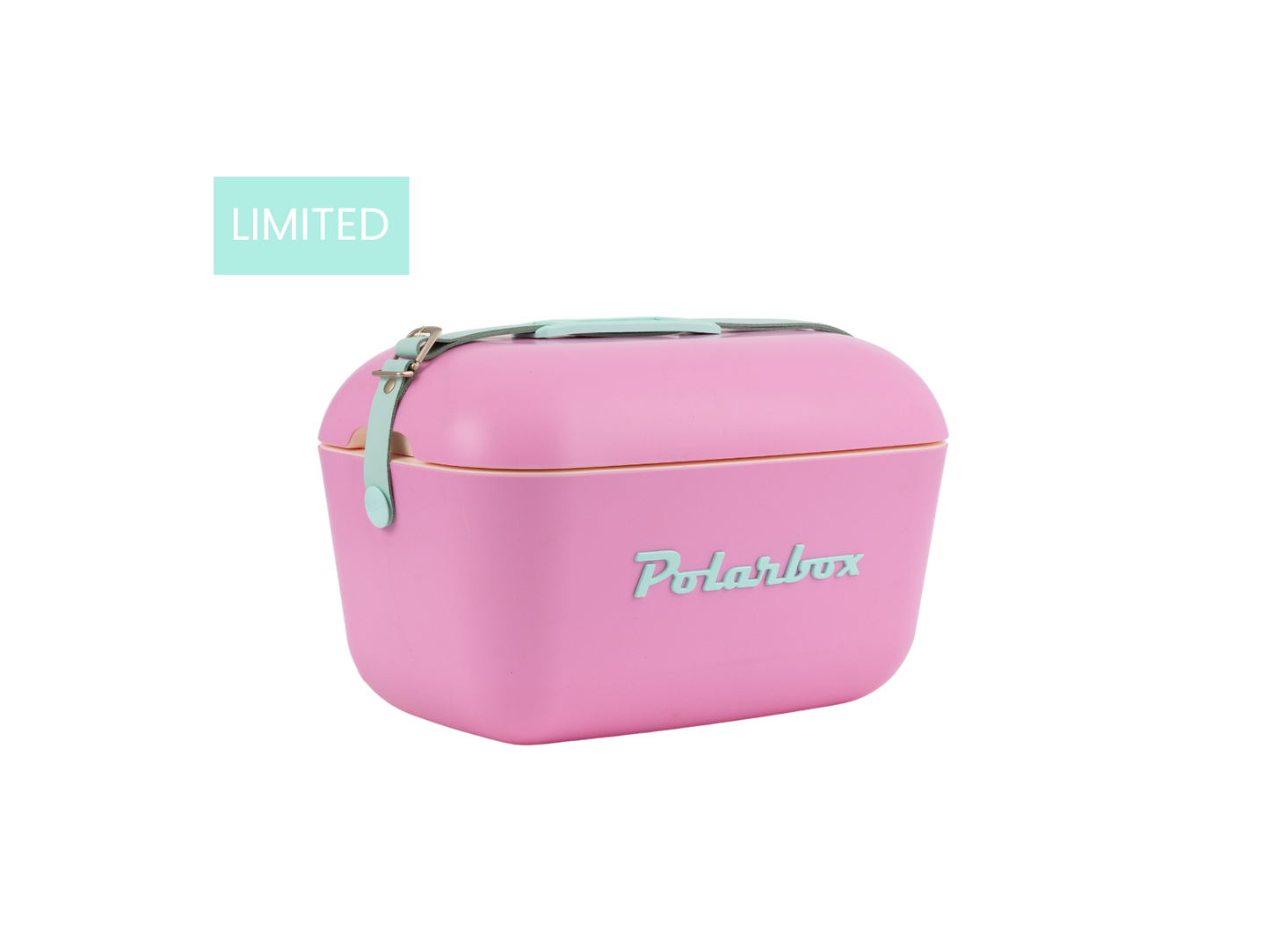 Fucsia Pop 12L